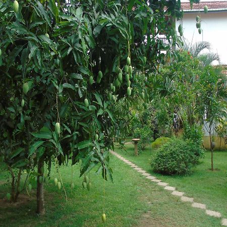 Secret Bay Hotel Matara Buitenkant foto