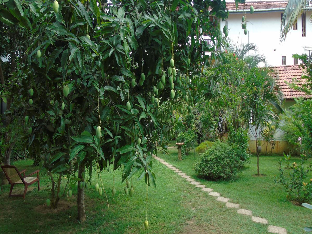 Secret Bay Hotel Matara Buitenkant foto