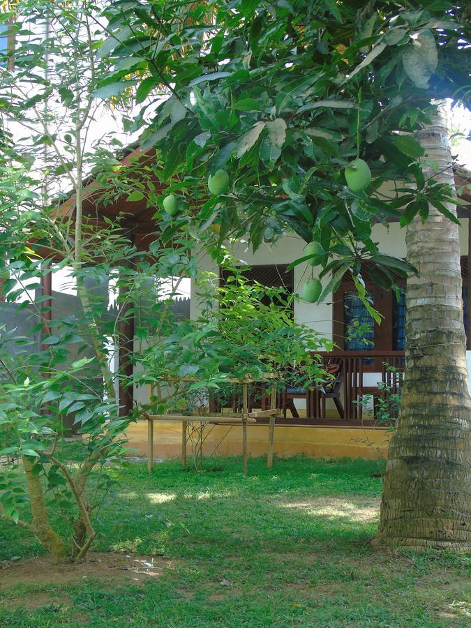 Secret Bay Hotel Matara Buitenkant foto