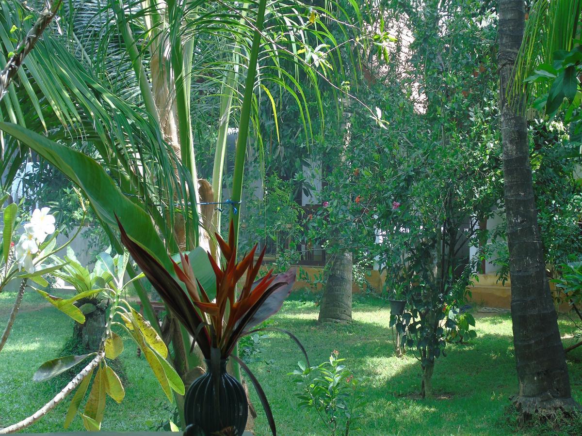 Secret Bay Hotel Matara Buitenkant foto